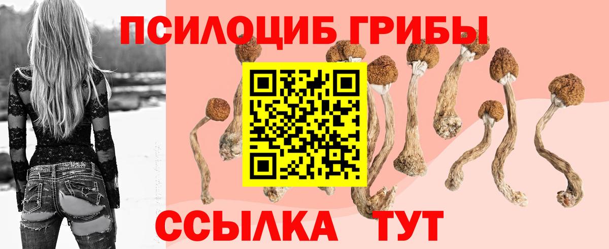 Галлюциногенные грибы Psilocybine cubensis  Вход с VPN  Бугуруслан 
