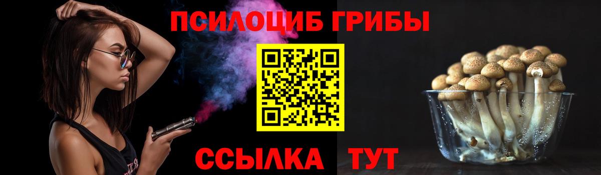 Галлюциногенные грибы мицелий Бугуруслан